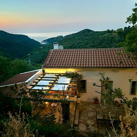 Olive Mill Cottage Skopelos Eksteriør billede